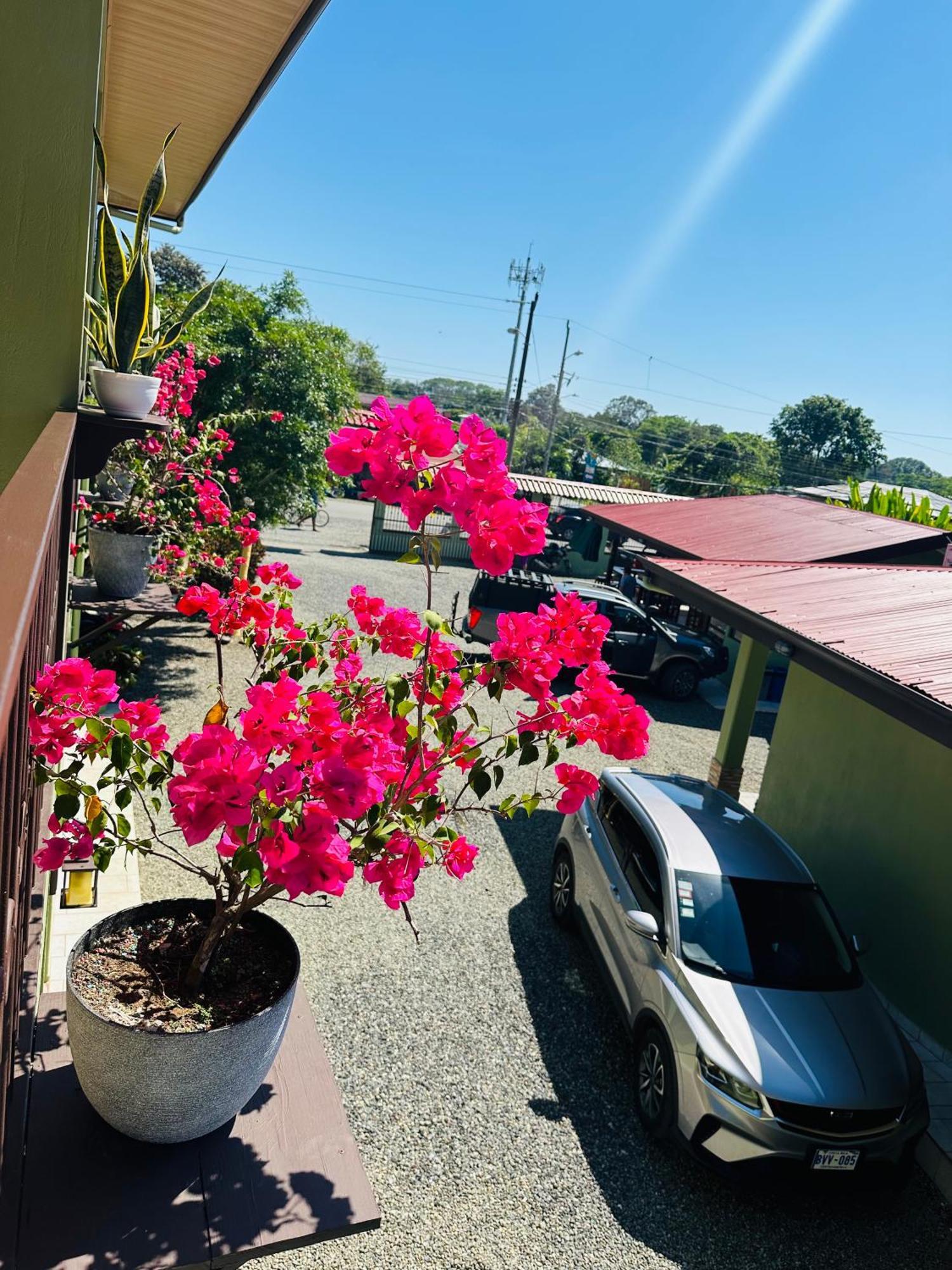 Hotel La Fiore De Bahia 乌维塔 外观 照片