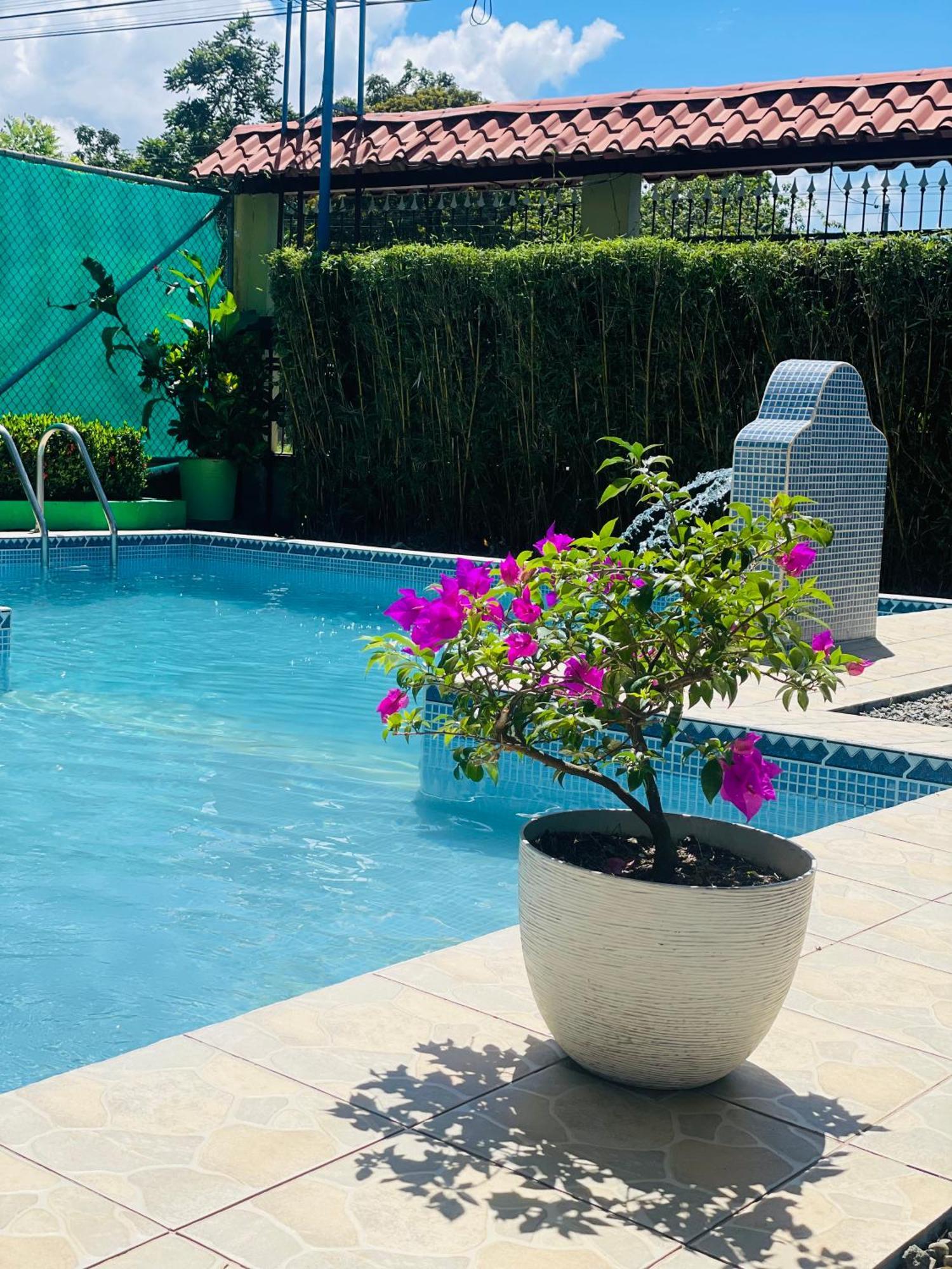 Hotel La Fiore De Bahia 乌维塔 外观 照片